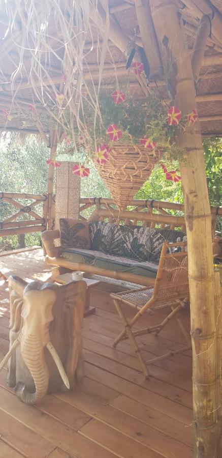 La Lyalis Bed & Breakfast Aiguines Ngoại thất bức ảnh