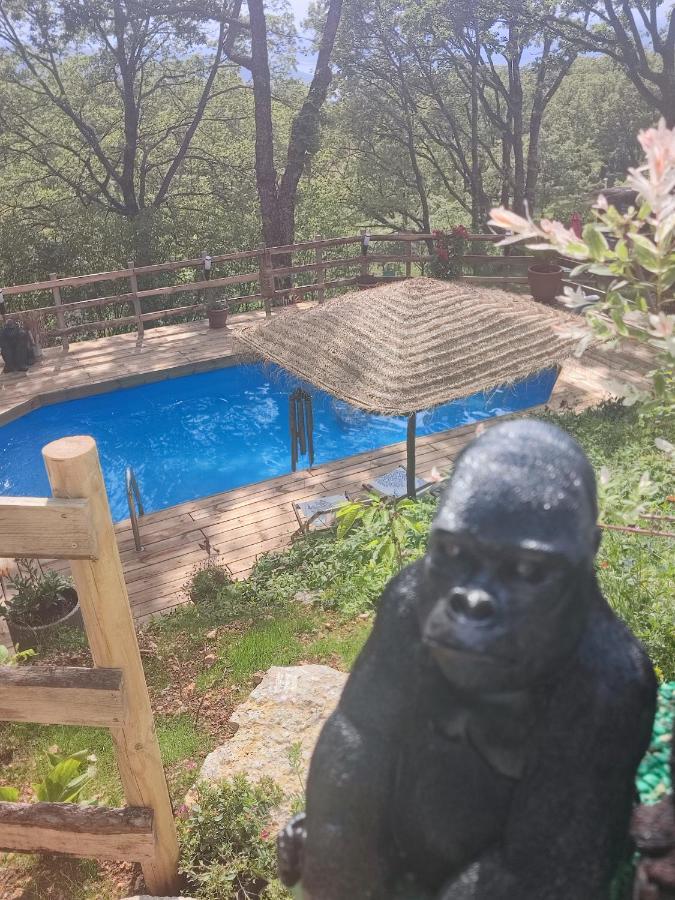 La Lyalis Bed & Breakfast Aiguines Ngoại thất bức ảnh